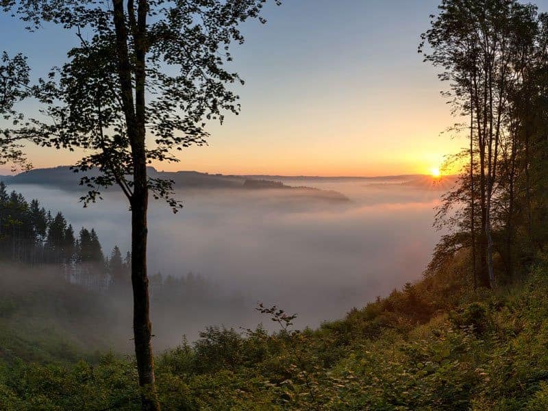 actieve-ardennen-1093