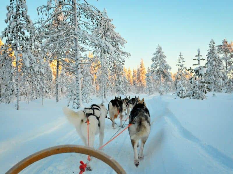 magisch-lapland-1138