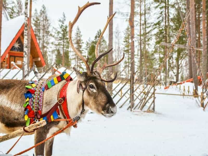 magisch-lapland-1139