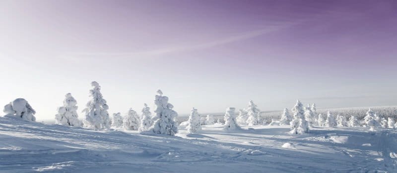 magisch-lapland-1147